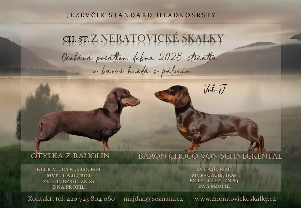 Z Neratovické skalky